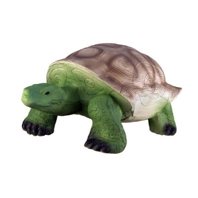 Eleven 3D Foam Turtle