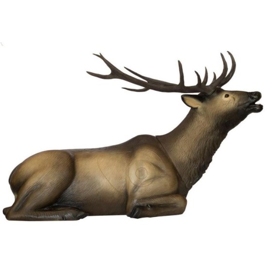 SRT Bedded Elk