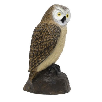 SRT 3D Little/Screech Owl