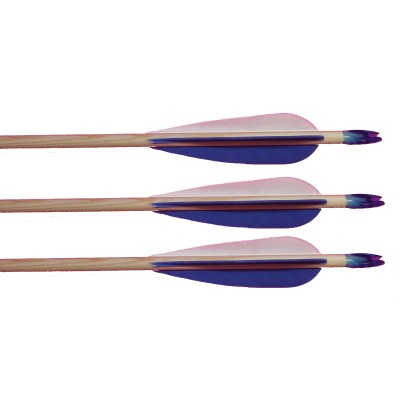 Premium Pine Arrows - Spine Matched
