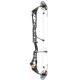 Mathews Title 38 G2 2025