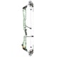 Mathews Title 40 2025