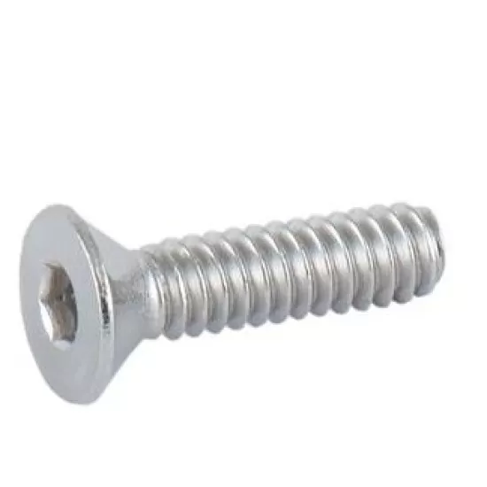 Avalon Sight Plate Screws 10-24"