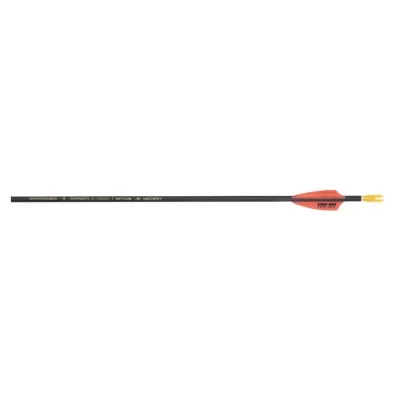 Skylon Paragon Arrows