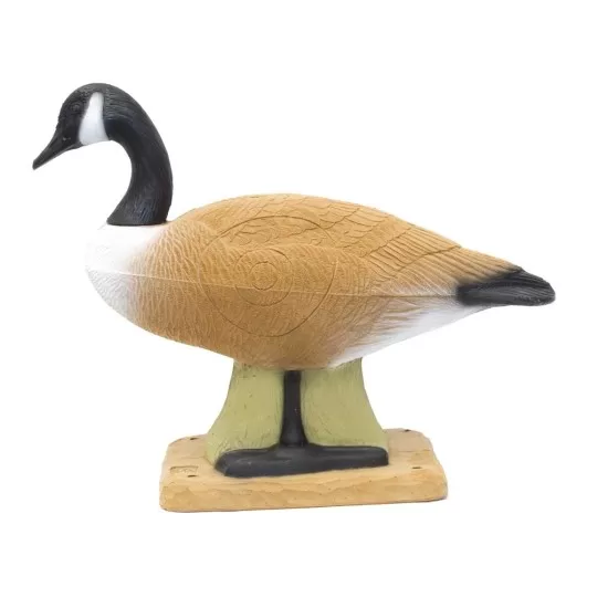 SRT Canadian Goose