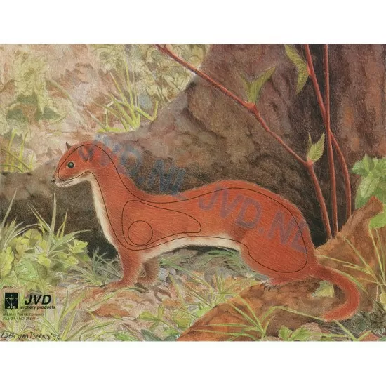 Group 1 Animal Faces