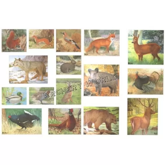 Full Set of 16 Animal Faces