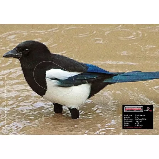 Maximal Magpie