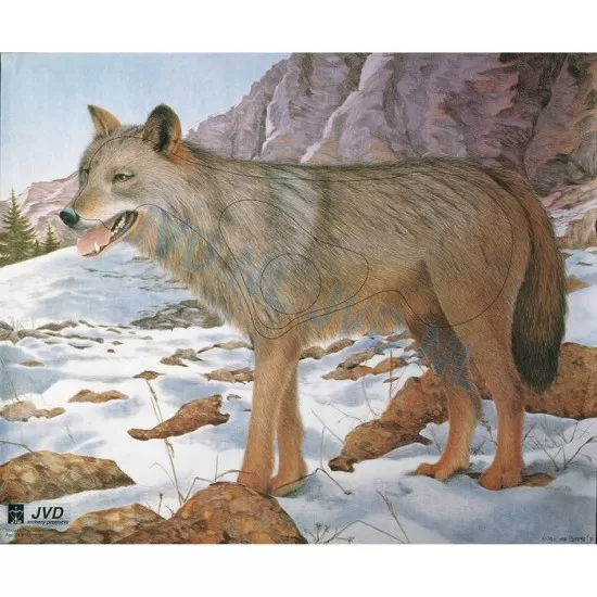 Group 4 Animal Faces