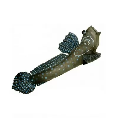 SRT Mudskipper 3D