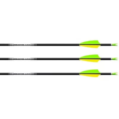 Easton ACE Carbon Arrows