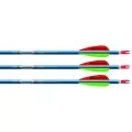 Finished Arrows
