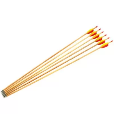 Standard Wood Arrows
