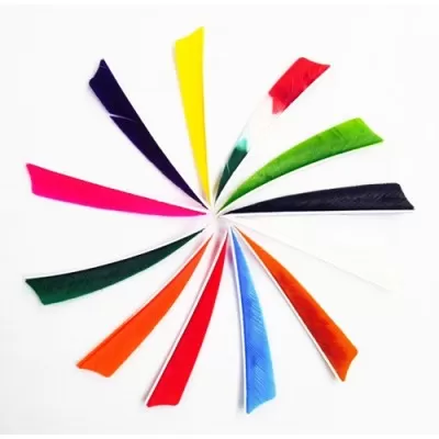 Shield Back Feathers 4"