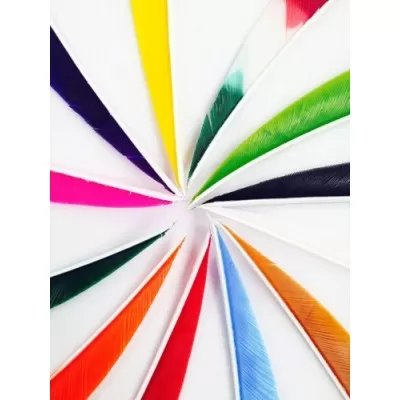 Shield Back Feathers 4"