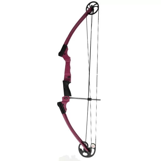 Mathews Genesis 