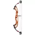 Compound Bows