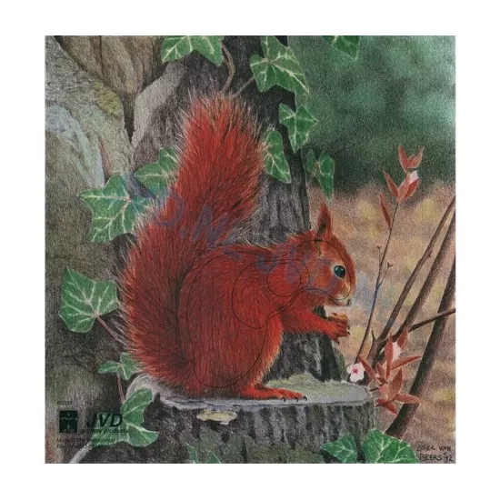 Group 1 Animal Faces